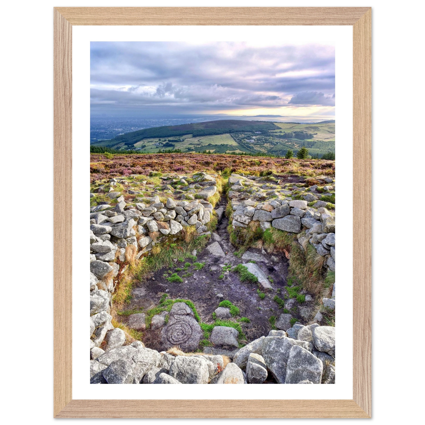 f7ef7a5e-3895-4ea9-a829-b4c1bfb4948e