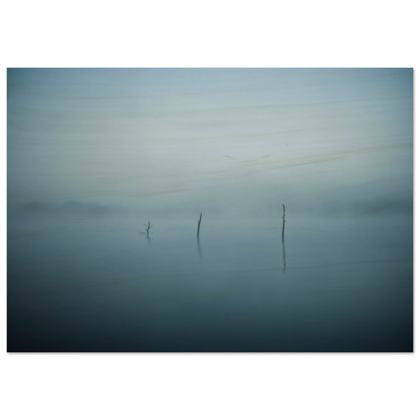 f8409927-ad80-481f-95d6-27f4cbc7a916