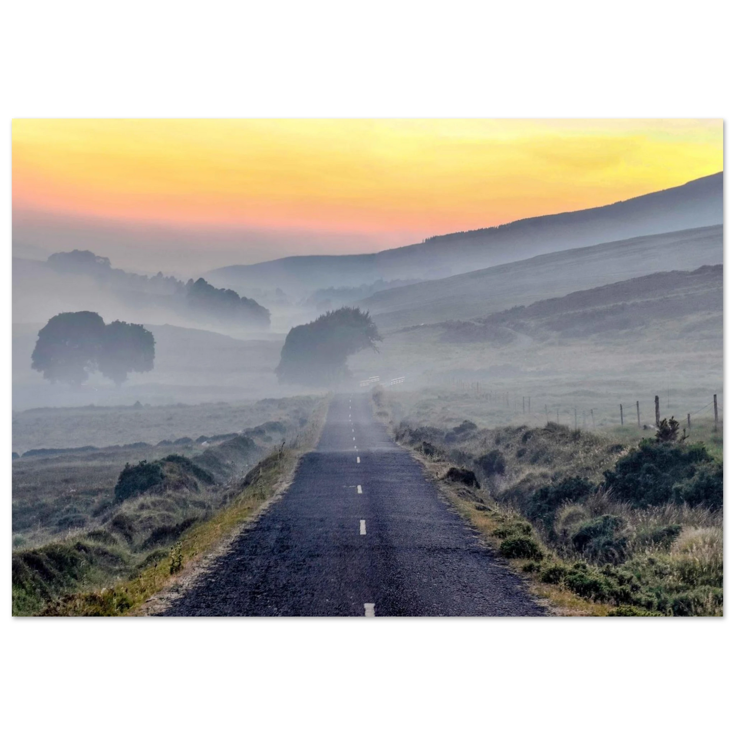 f84ffb1e-fe5b-4b65-a99f-0baca3259be5