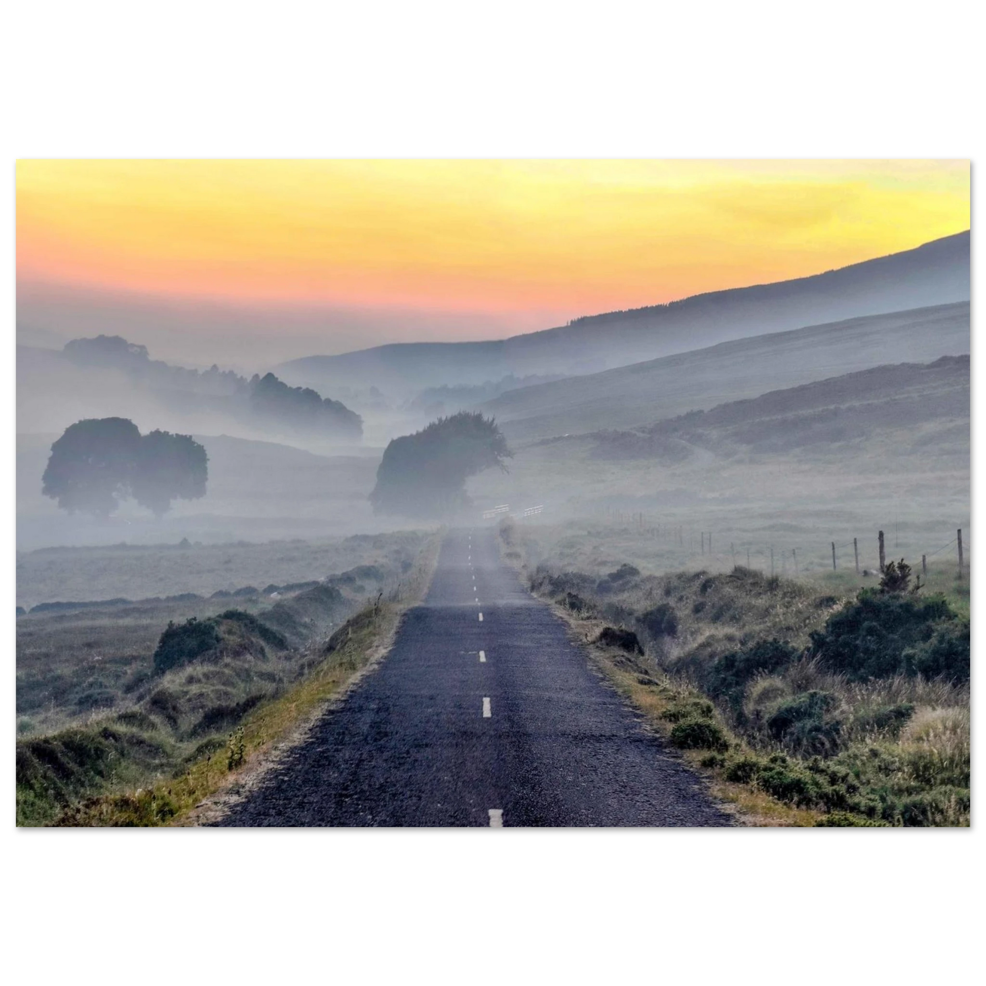 f84ffb1e-fe5b-4b65-a99f-0baca3259be5