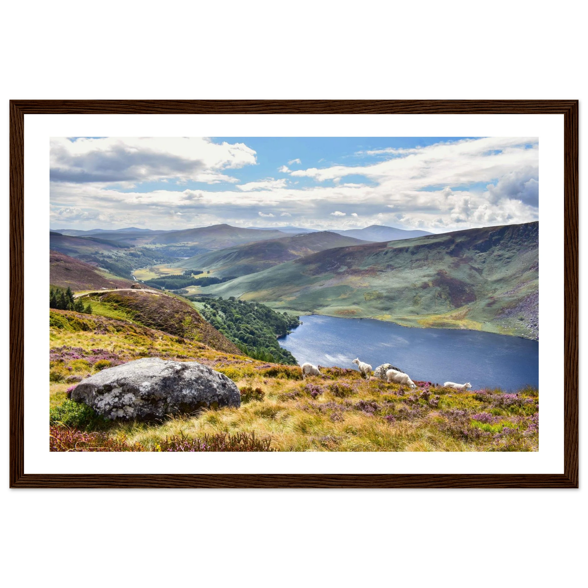 f85c86b1-5c14-439c-bcfc-54fb29df6bc5