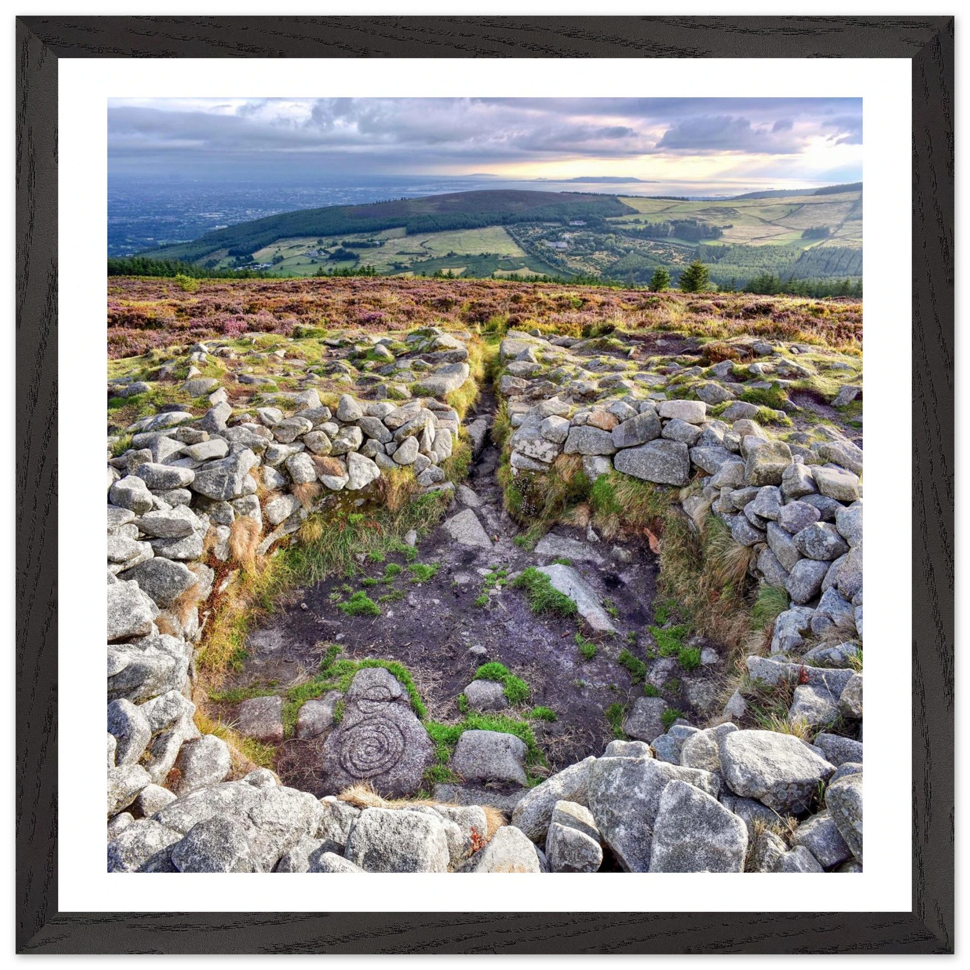 f9412f3d-749c-4a43-b94e-8e1423e84fdd