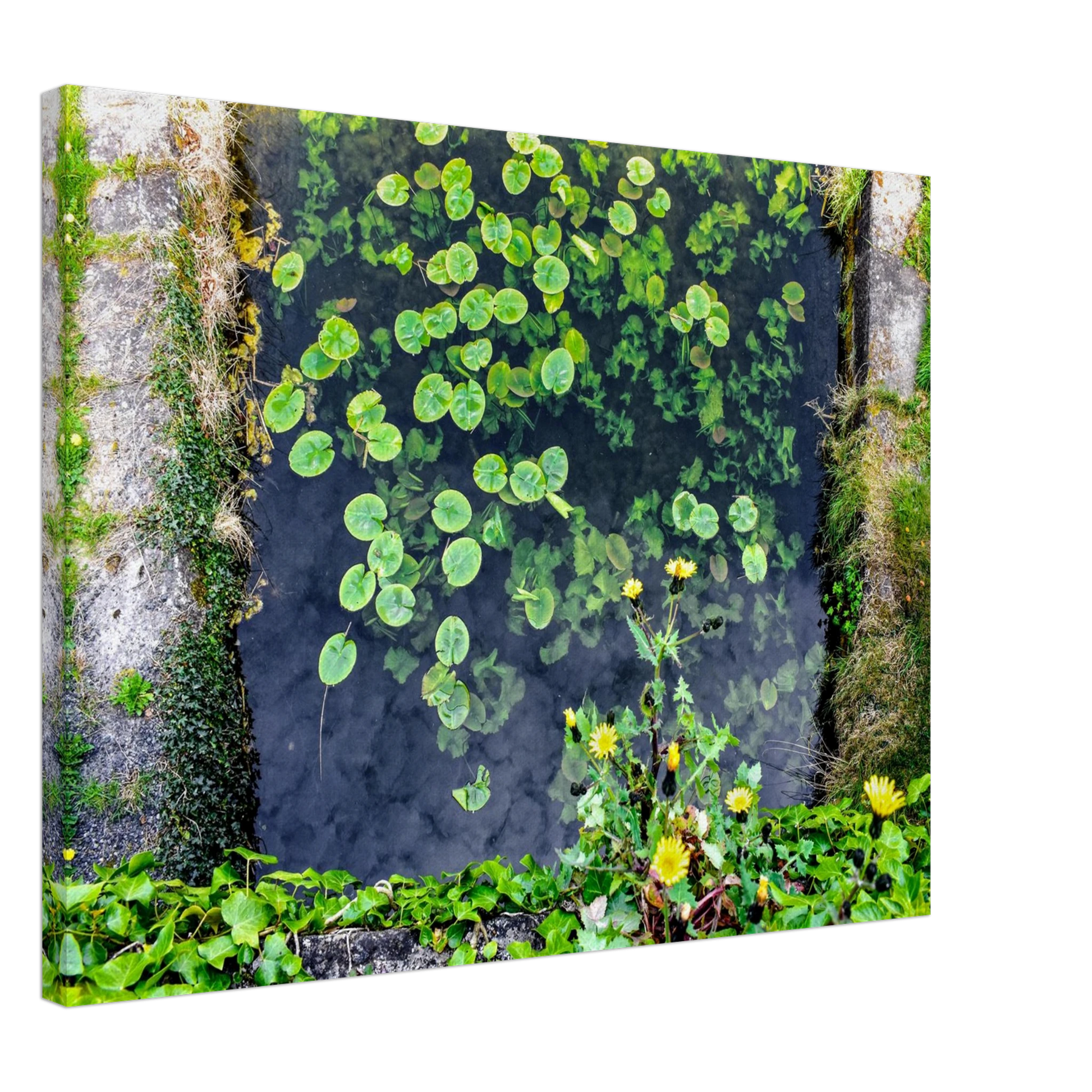 f9639610-bdf8-4d3e-ab85-3c57f924400c