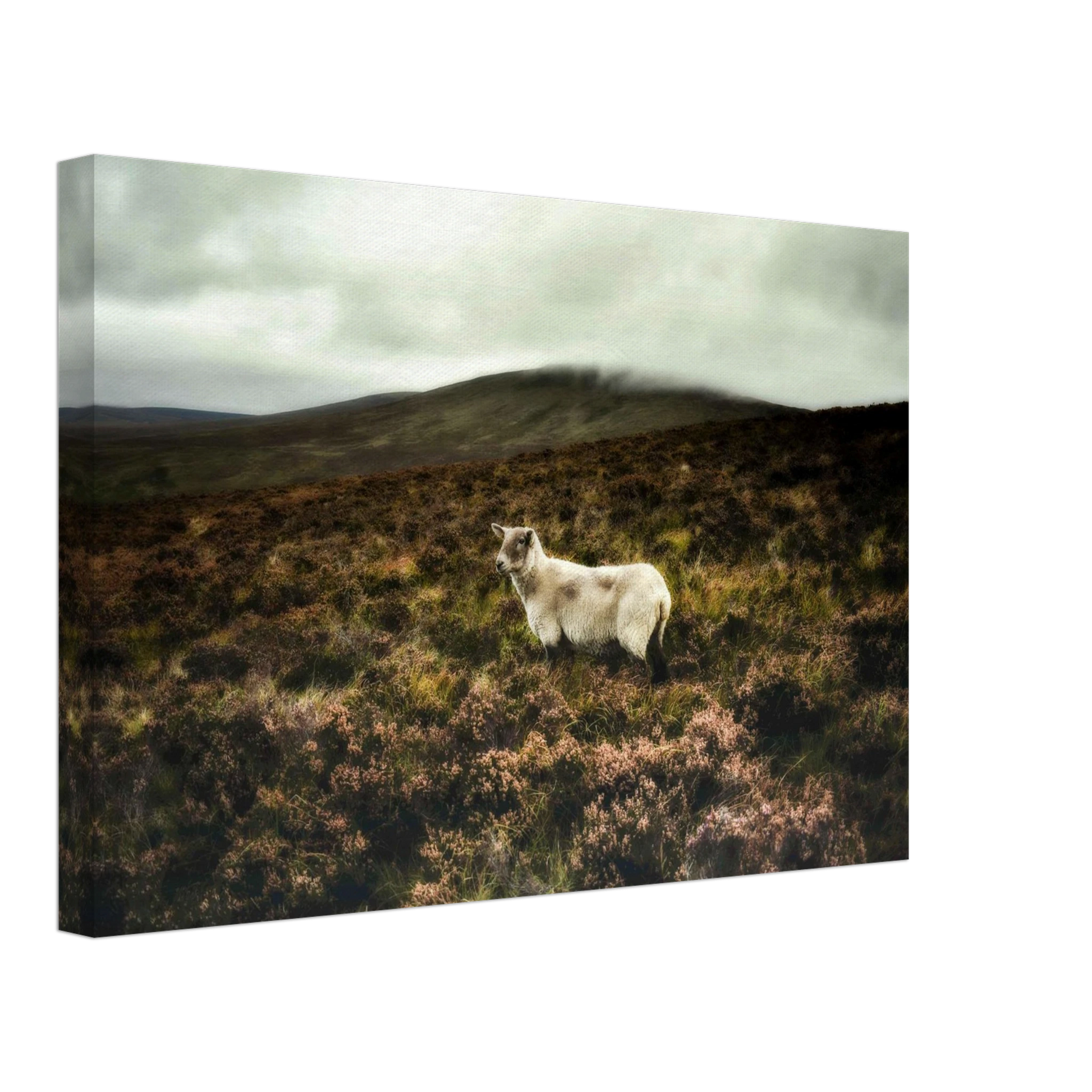 f96f348c-f42c-478a-852c-84ef9ceac7ef