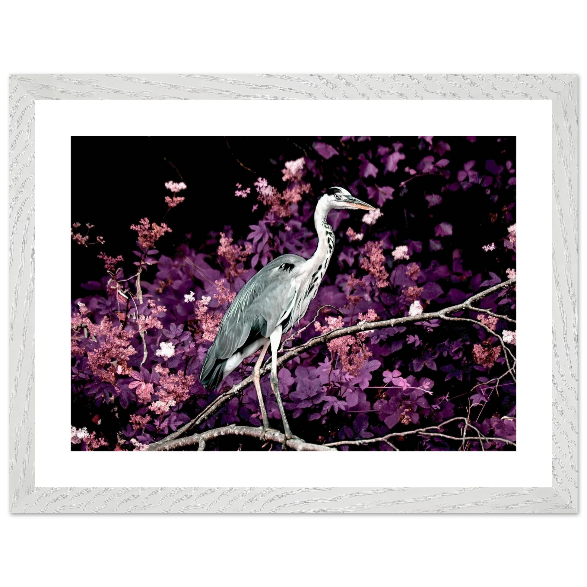 f9d52f99-c348-46e1-9bfb-6b08b2a1fa8a