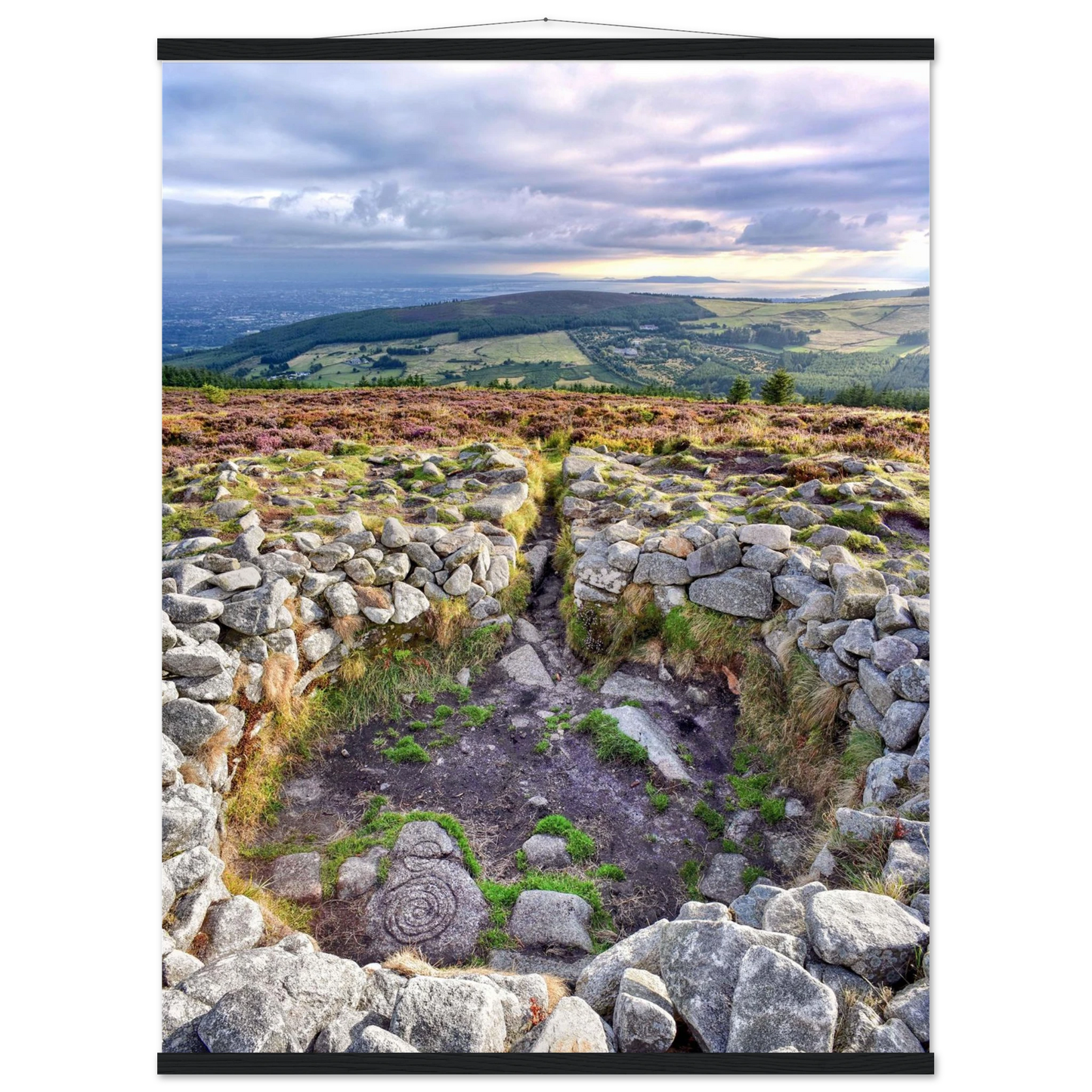 f9e5fb5f-031c-4a1e-9aeb-934ad2d16fa3