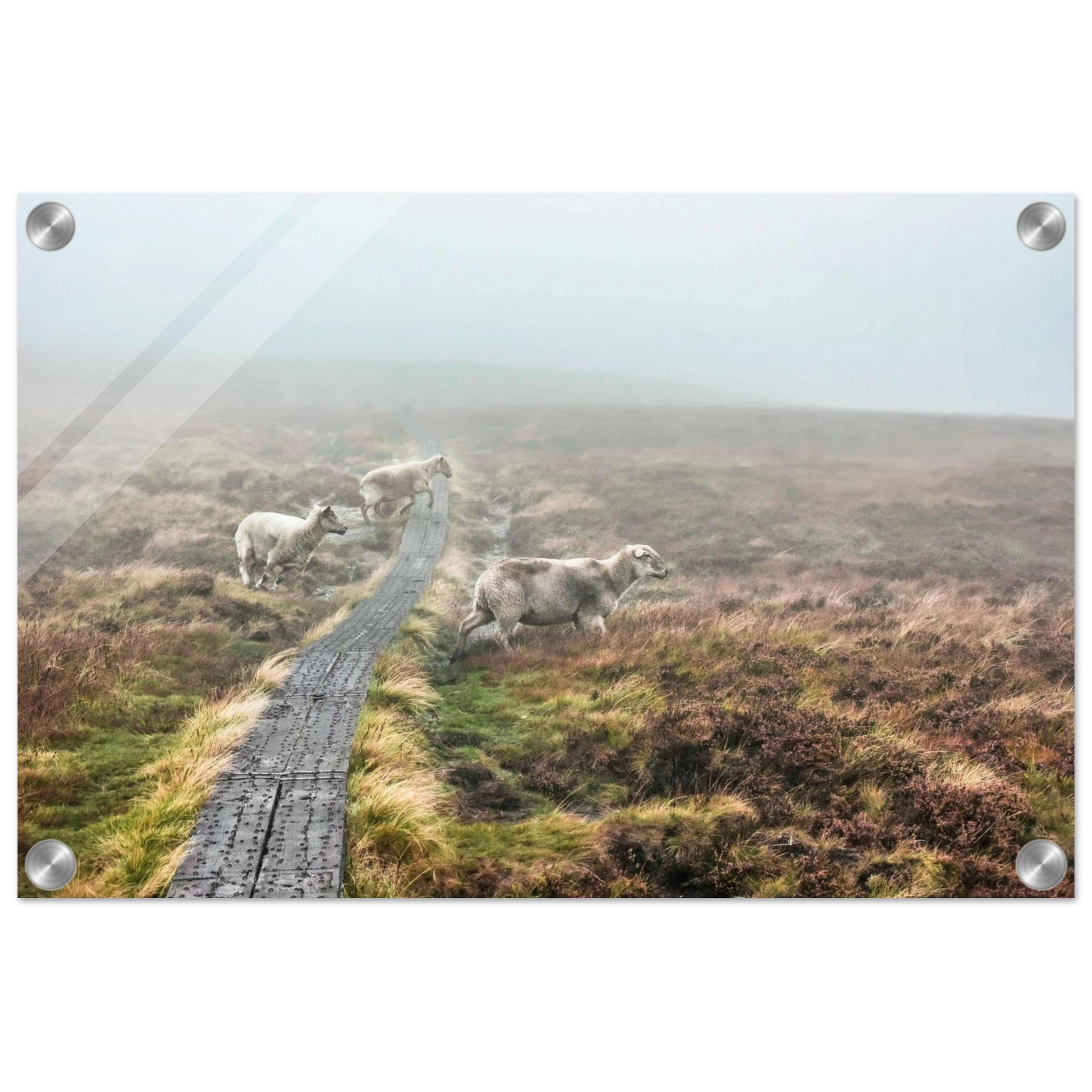 fa2beb88-cadc-4957-bfde-3d416e9dc475