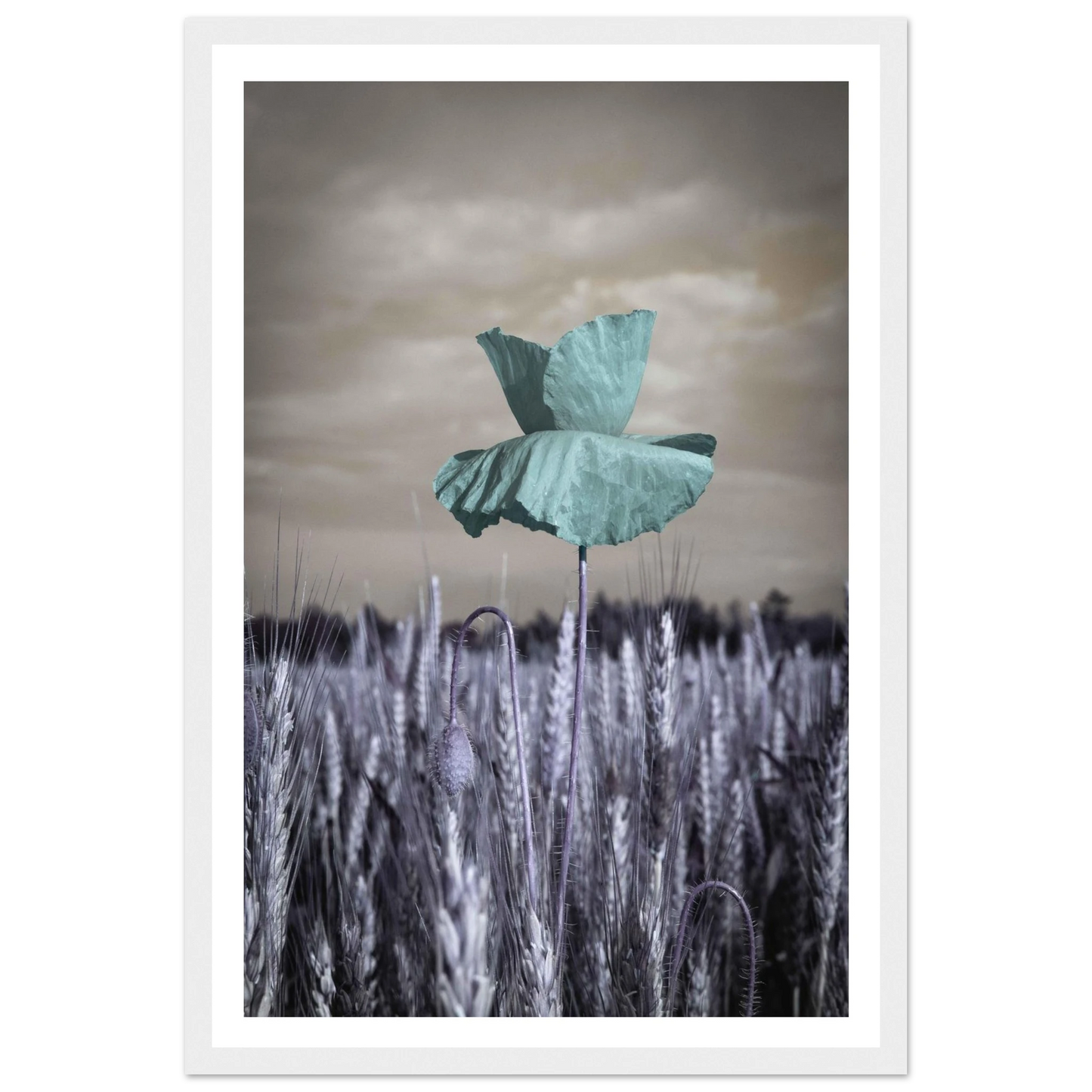 fa54328a-af50-4705-b640-301e296e5ec5