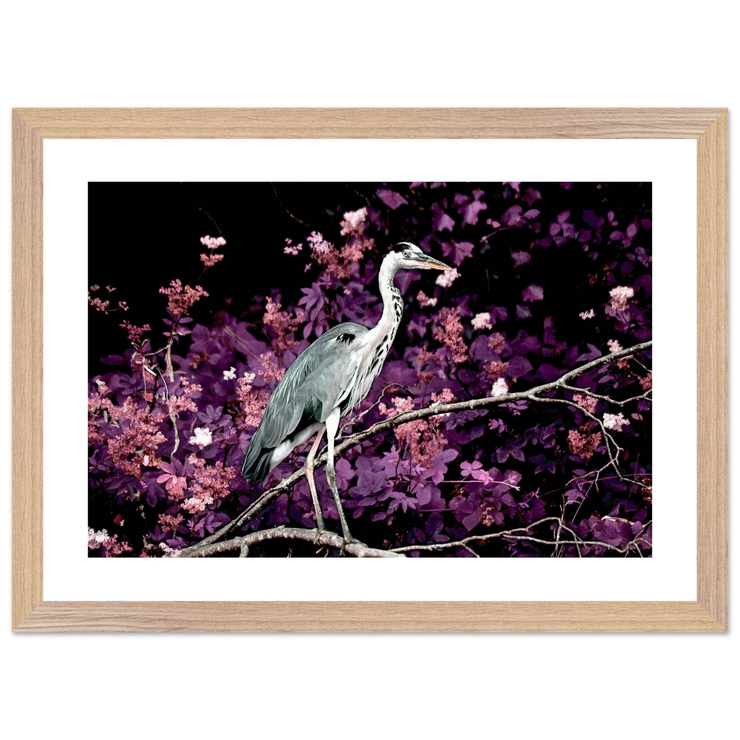 fa7747ec-68eb-4784-afab-2fd621daa4fc