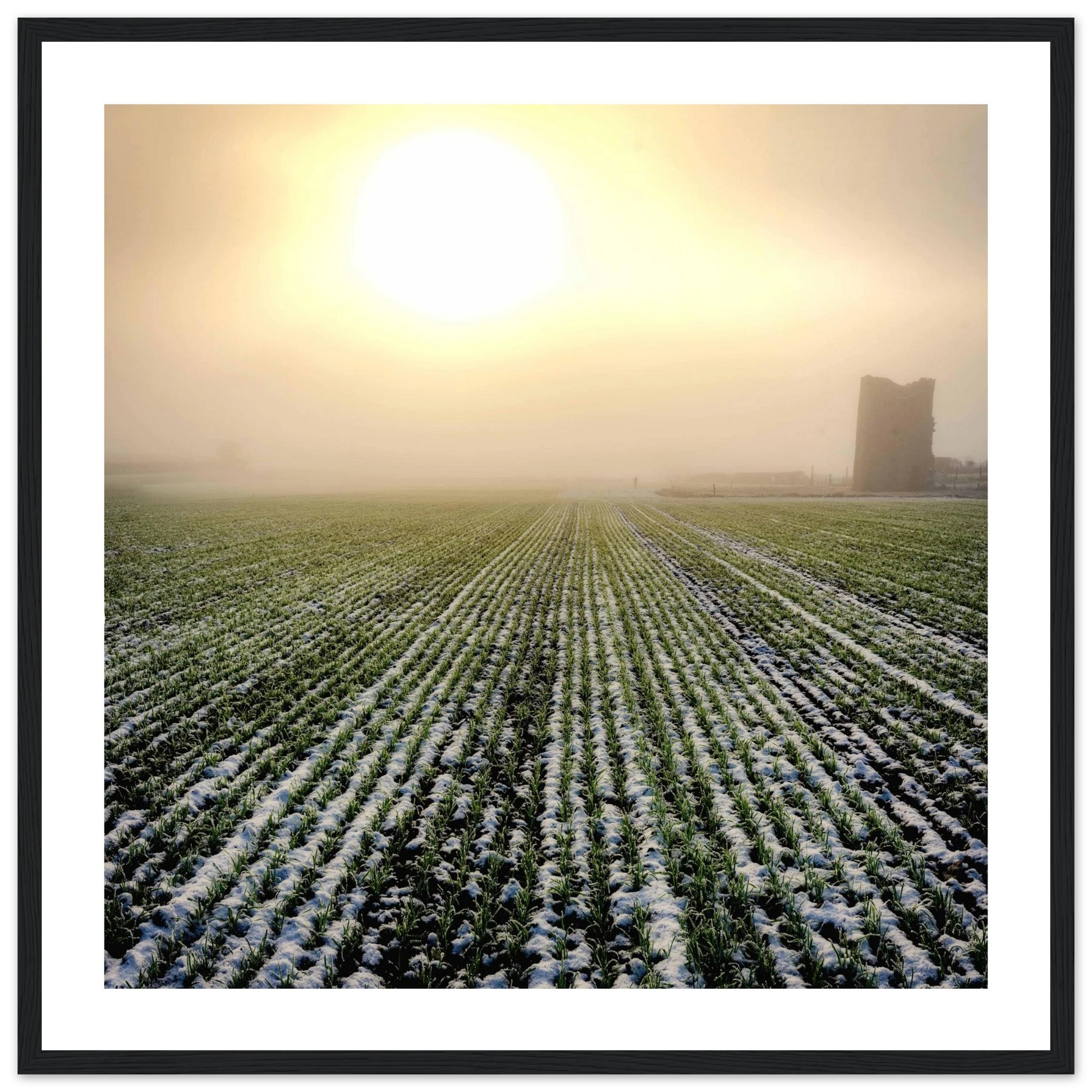 fa9e5c81-8aba-4334-890a-55c4238e383a