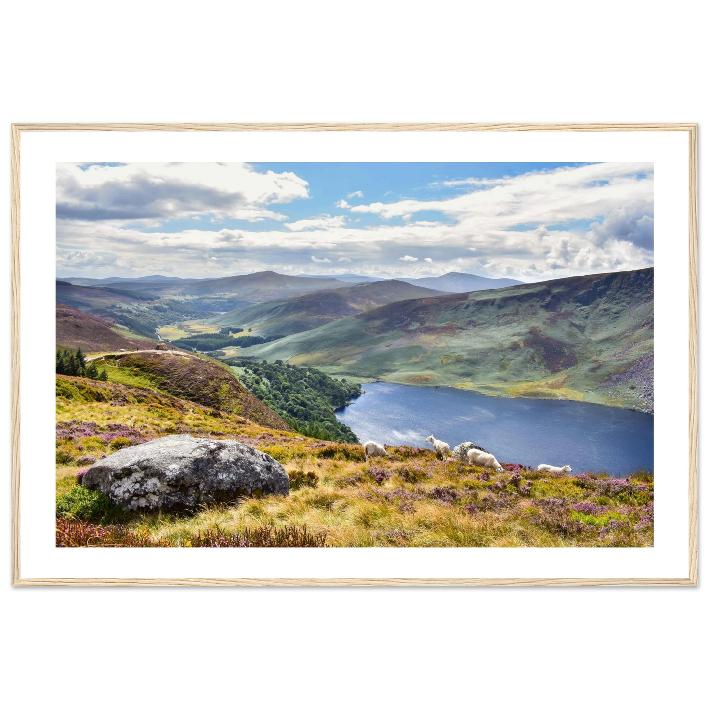 facc4583-ca9d-48d5-80ea-818480adbe47