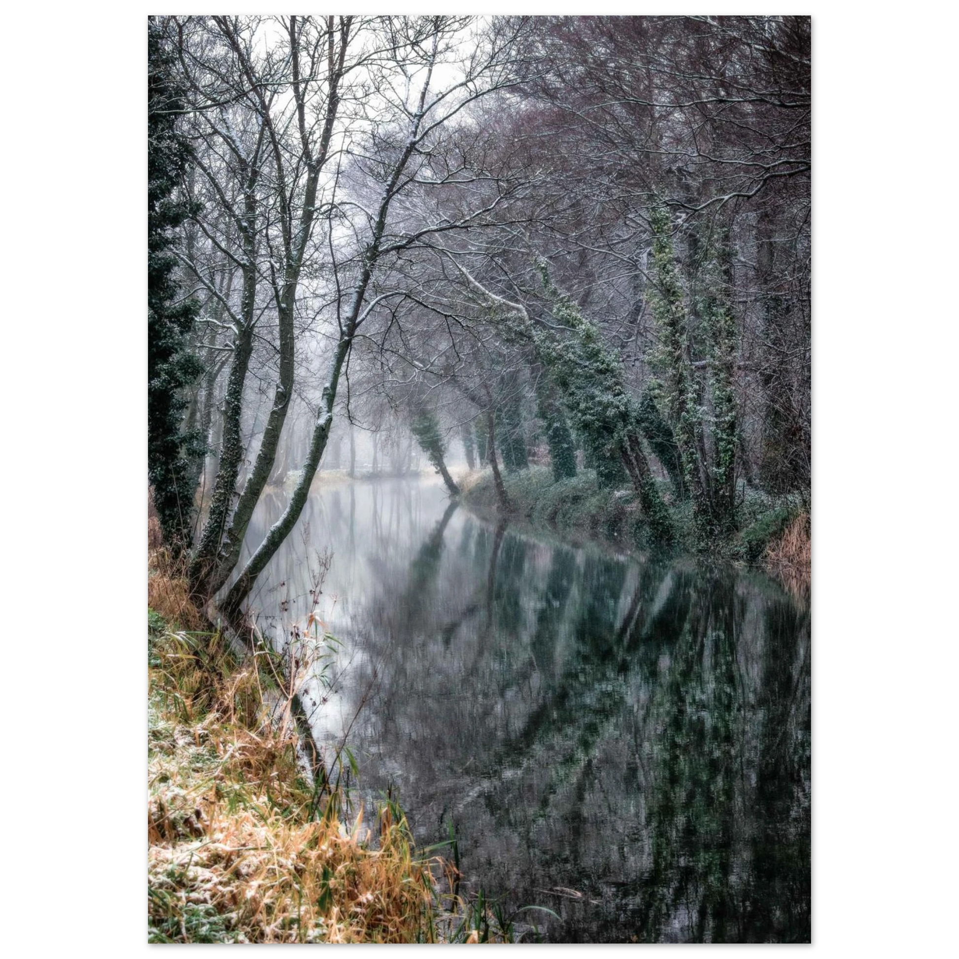 fb3b9320-1d8a-4aaa-985c-67b5d588201e