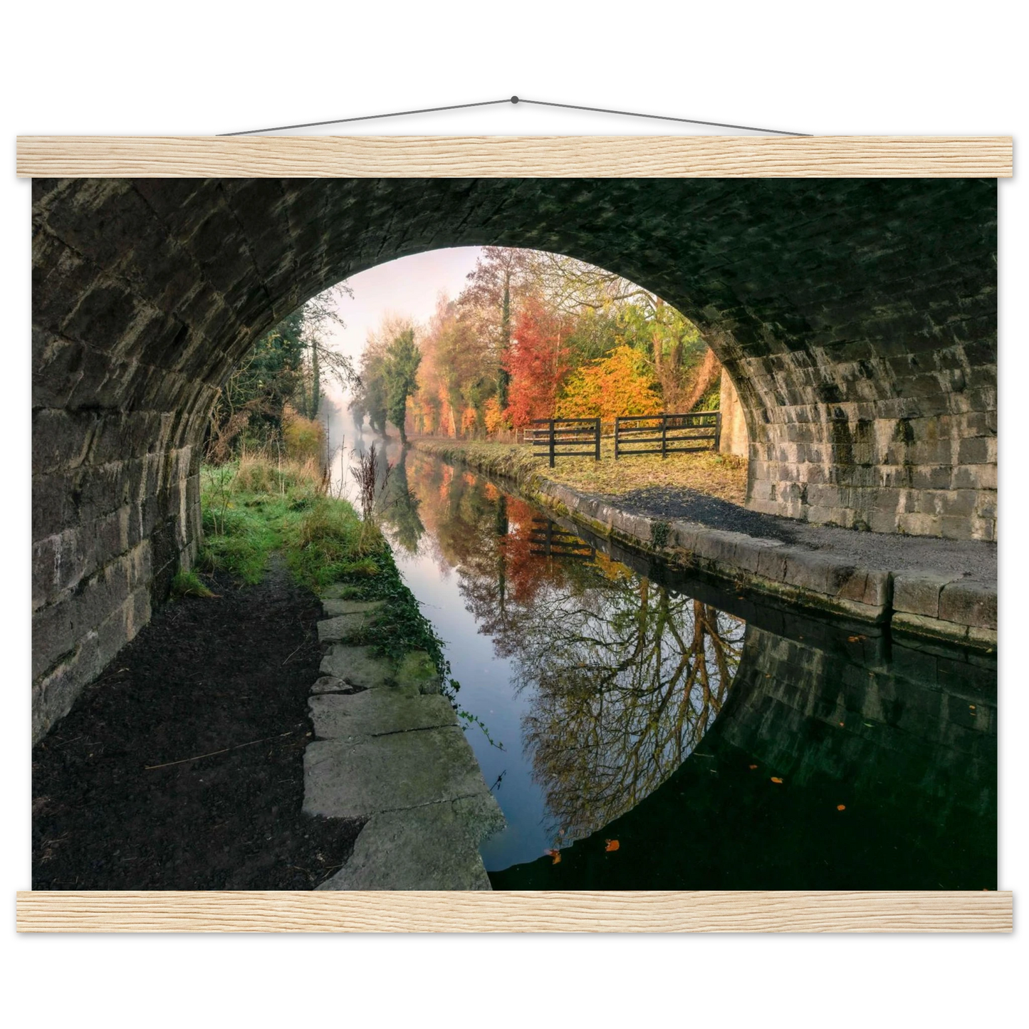 fbcafc42-e629-4800-b6fd-76c33275457f