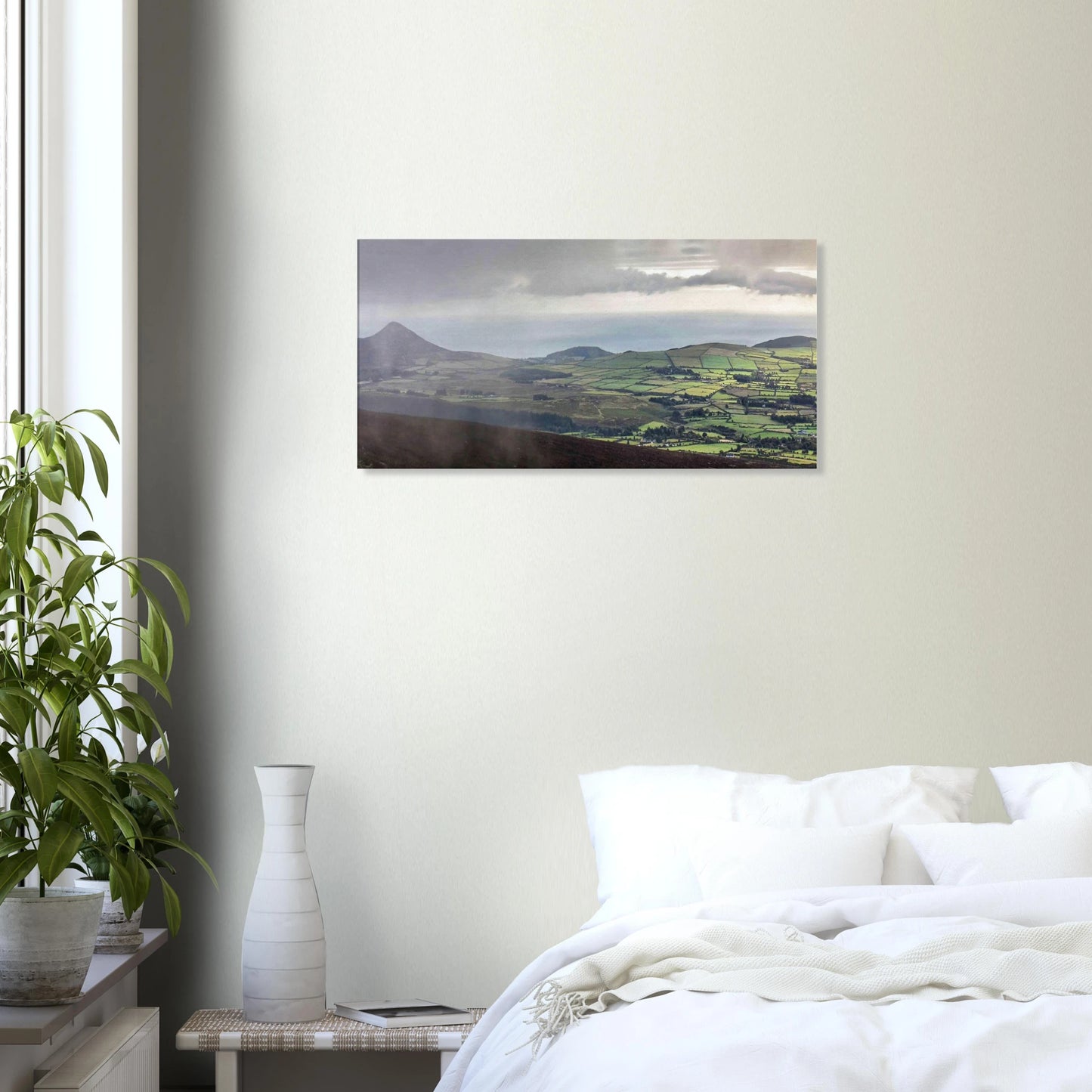 fc31356f-f6f0-4e2a-a22e-637fed3b3b69