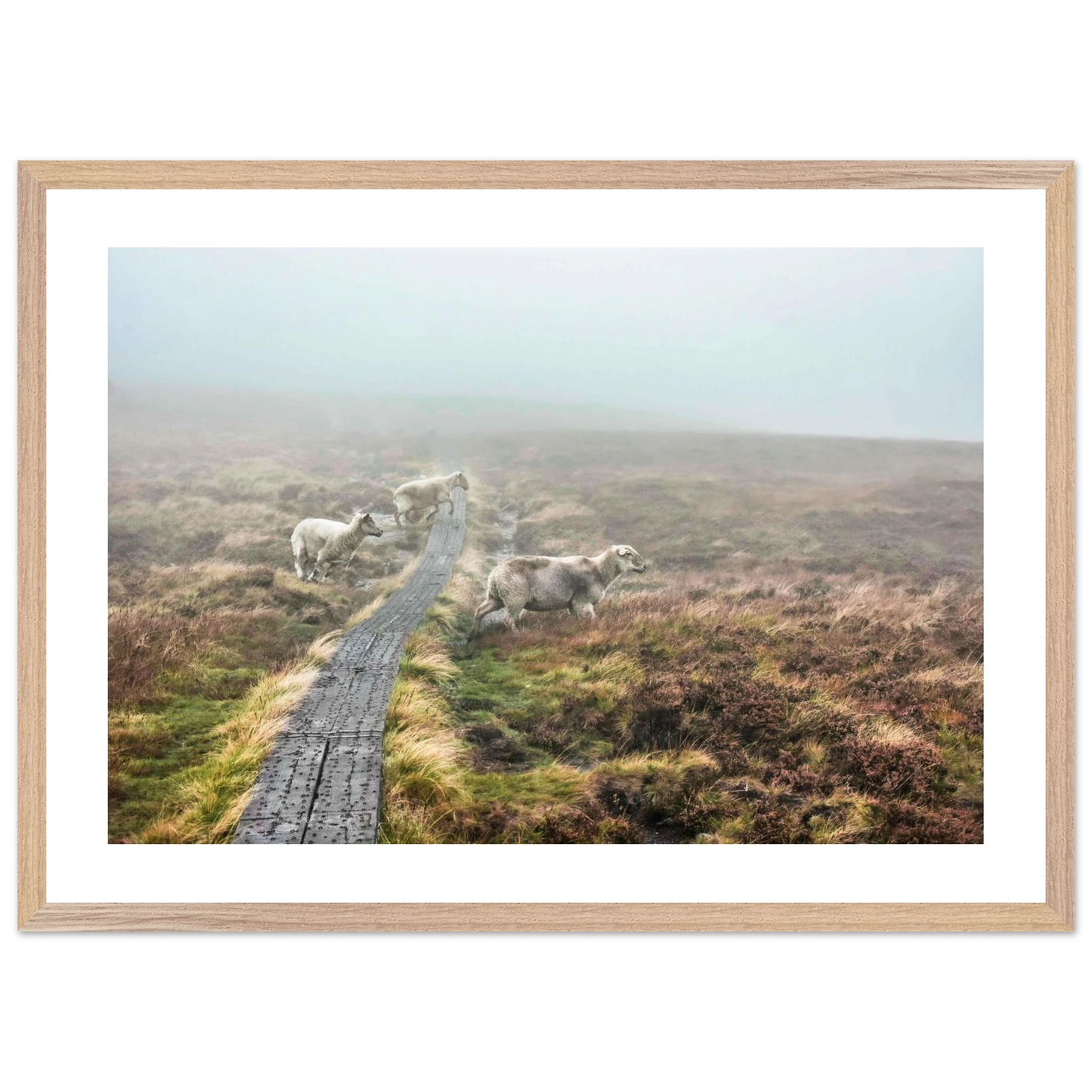 fcb0731c-4133-4b98-8936-bee96228d476