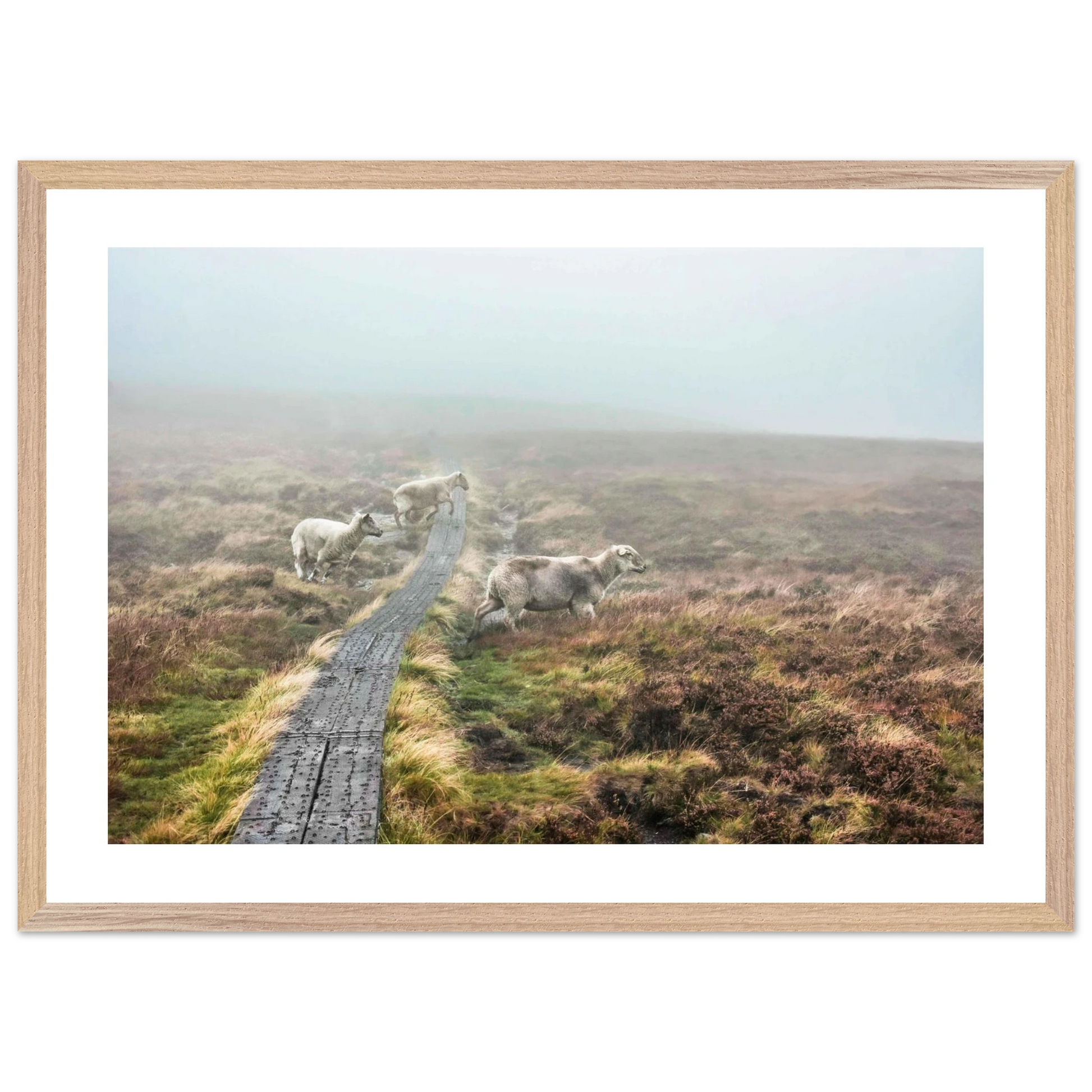 fcb0731c-4133-4b98-8936-bee96228d476