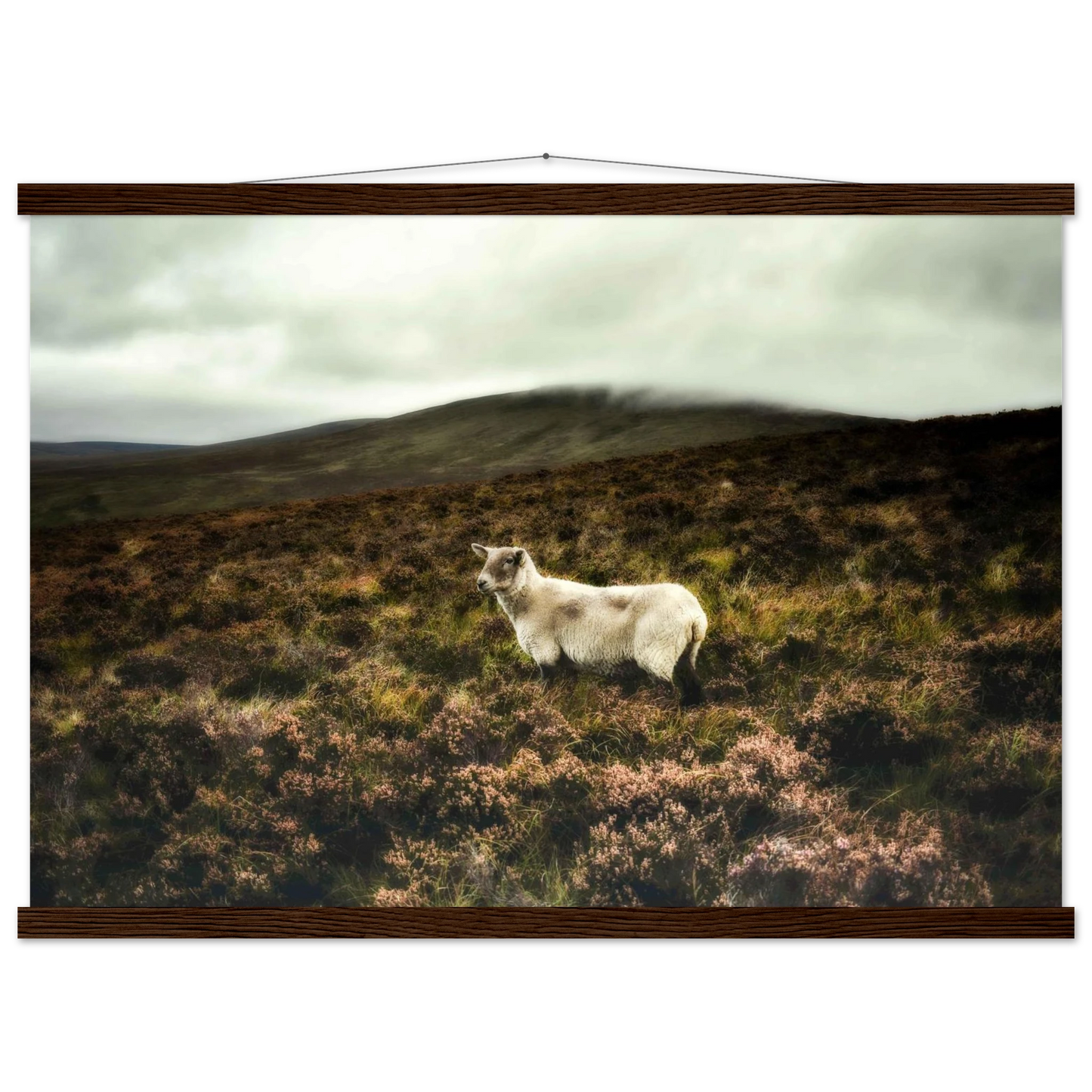 fcd6c738-1e70-4c74-b000-5337ecff08a7