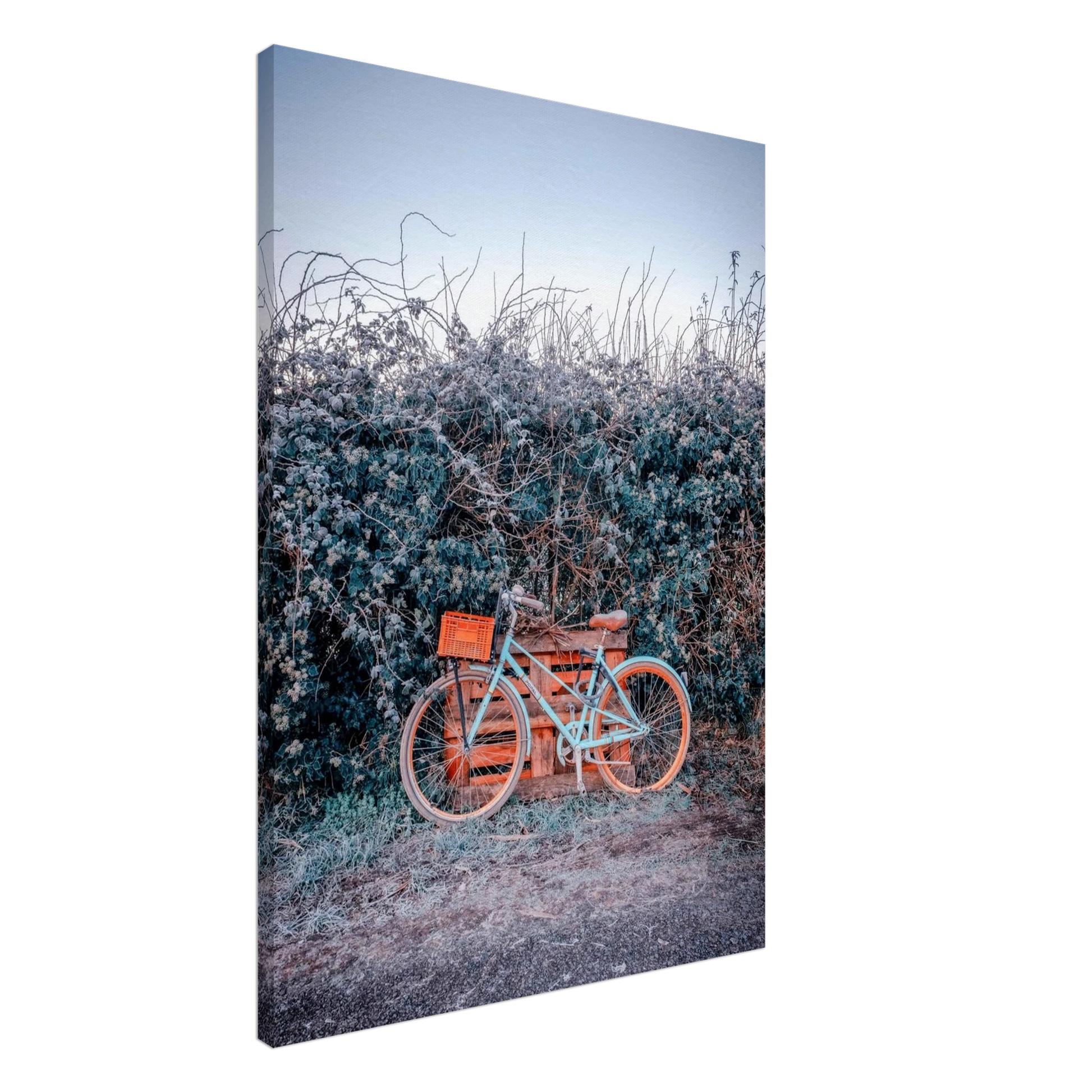 fcd785d8-71a9-41d0-a38f-e893d4c5878f