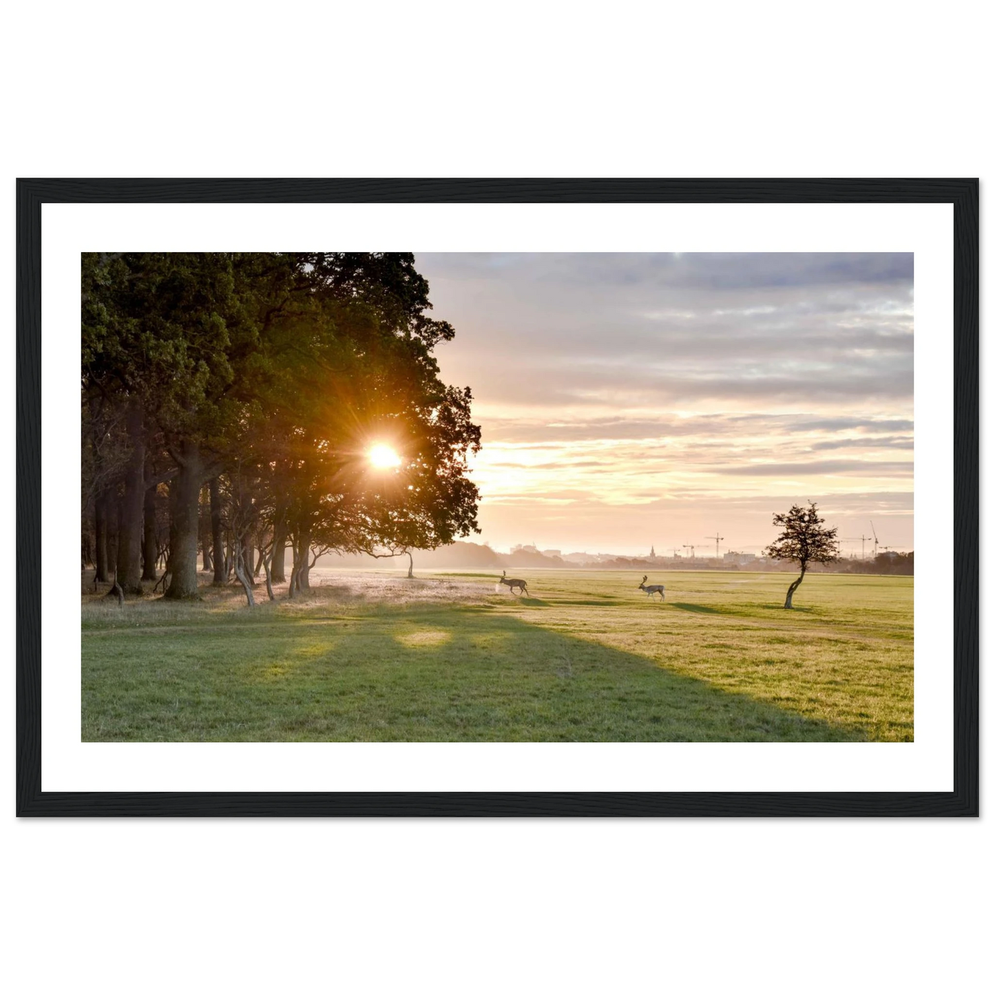 fd15e083-fff6-4f16-9daf-19b9c55bf9a3