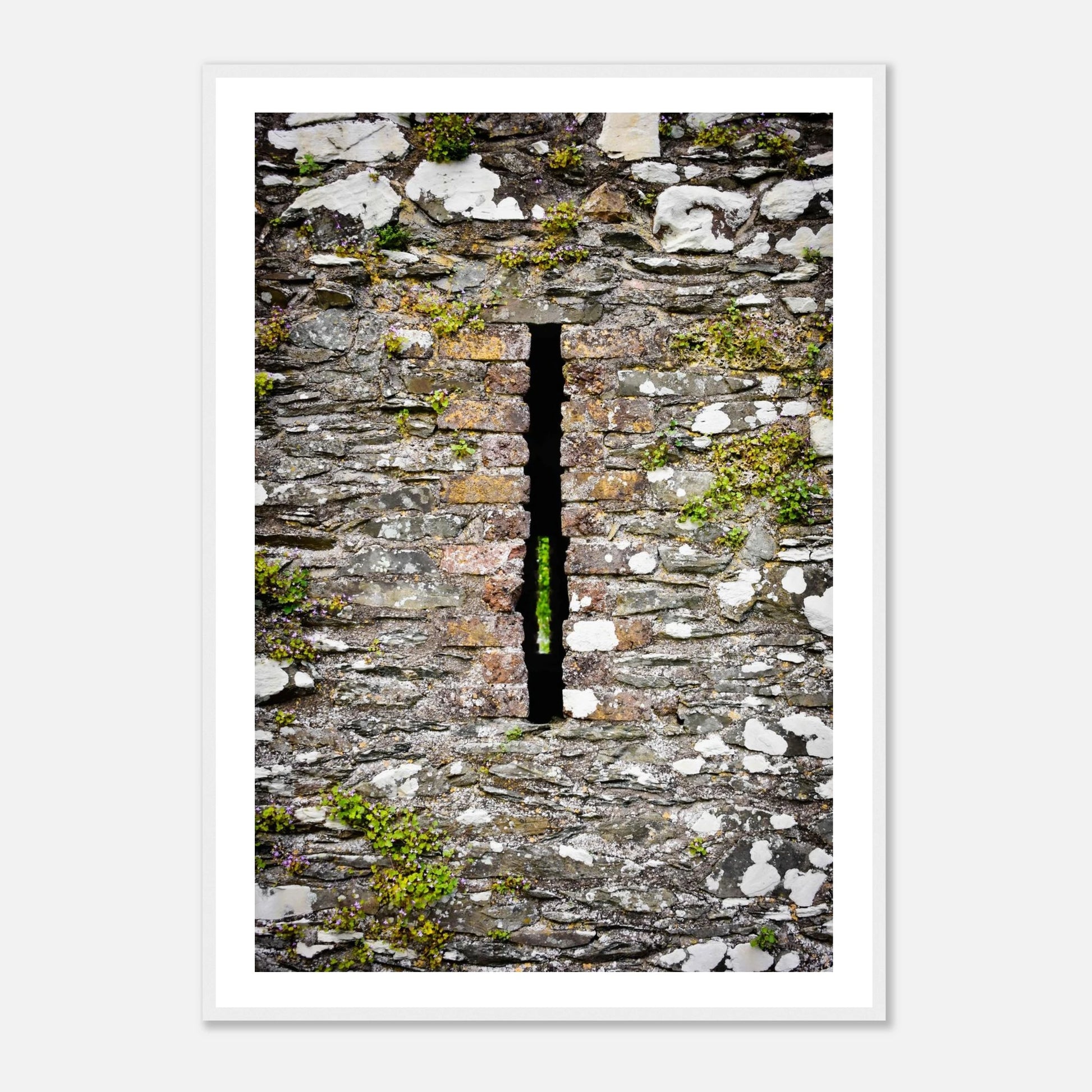 fd70229f-4801-4ec1-92fe-ff5232f8ba50