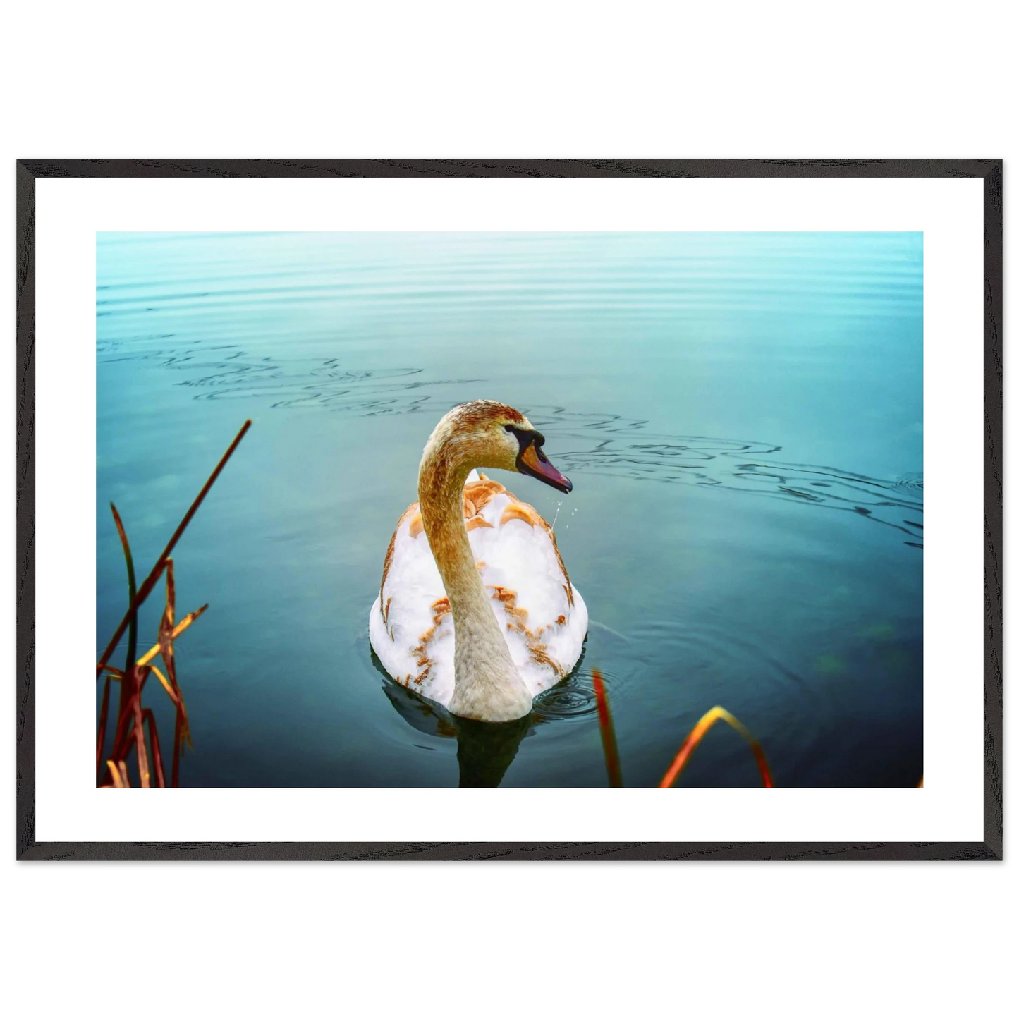 fe0368d0-7357-4349-89d4-fbee08e985a1