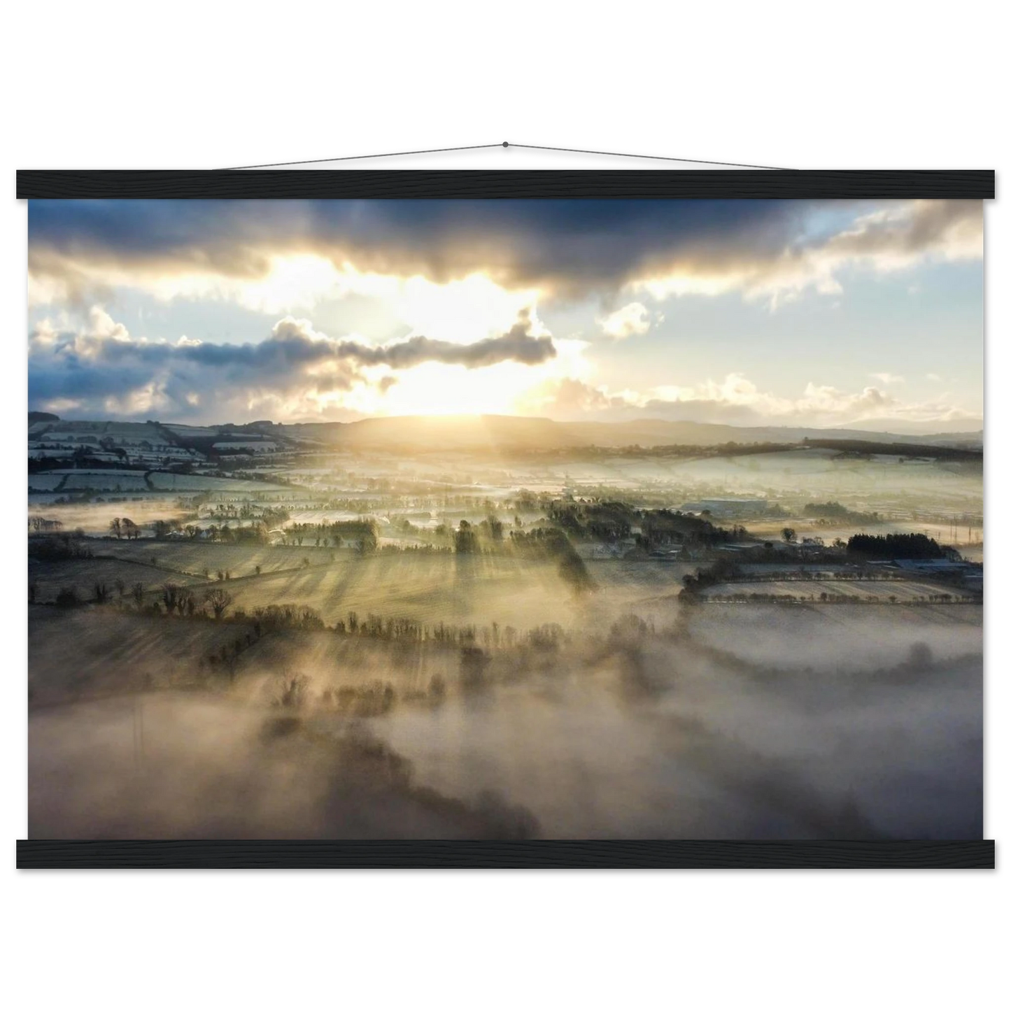 fe101ee6-41d9-408a-8533-873a42754911