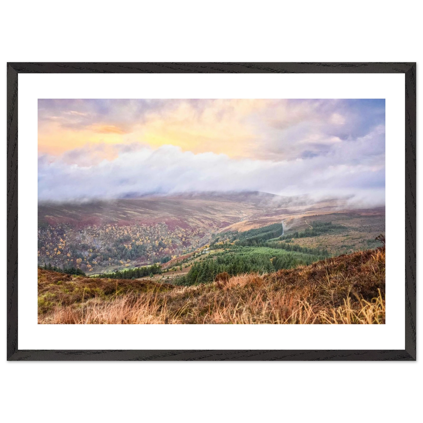 fe564c71-d819-4fc0-9f86-67549dff8daa