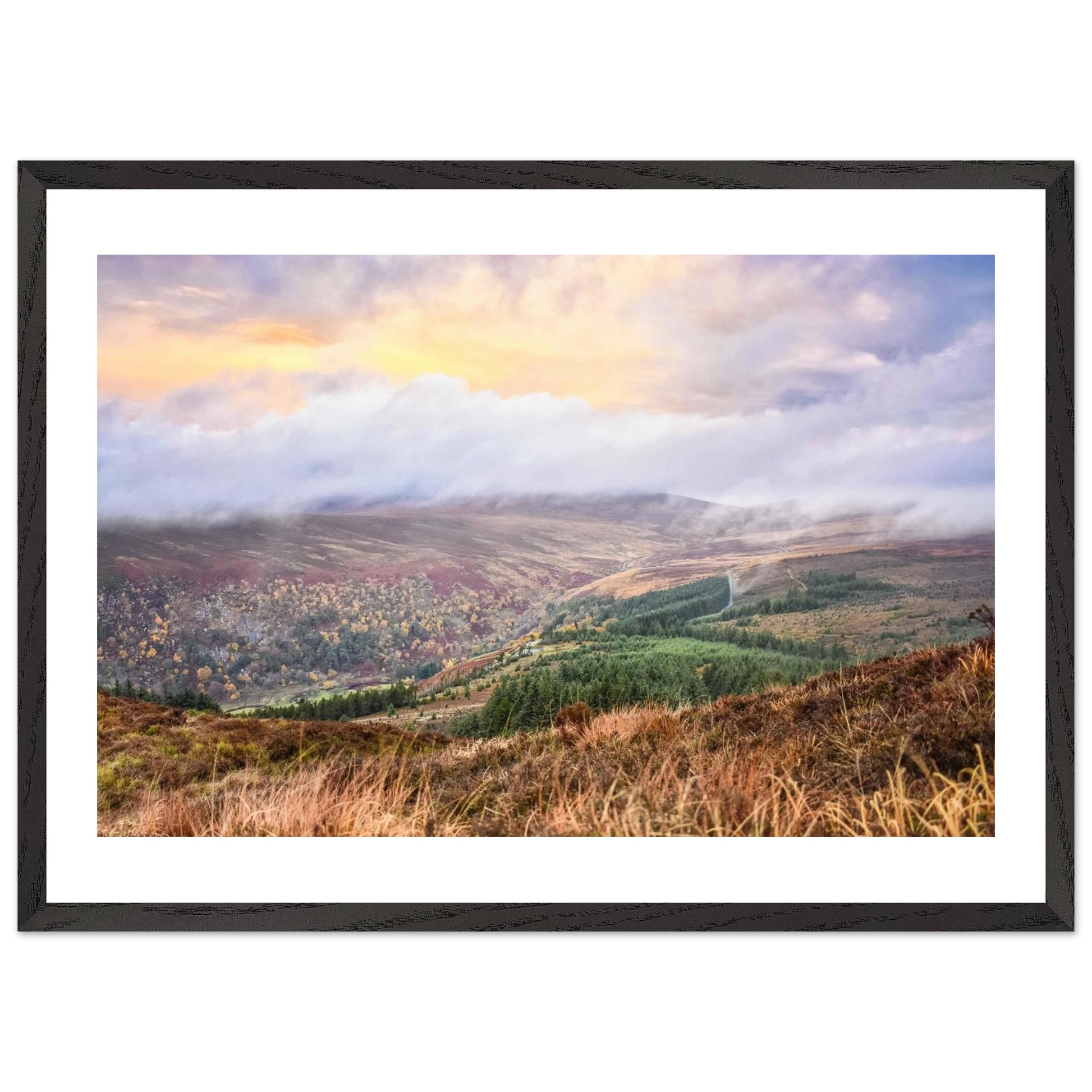 fe564c71-d819-4fc0-9f86-67549dff8daa