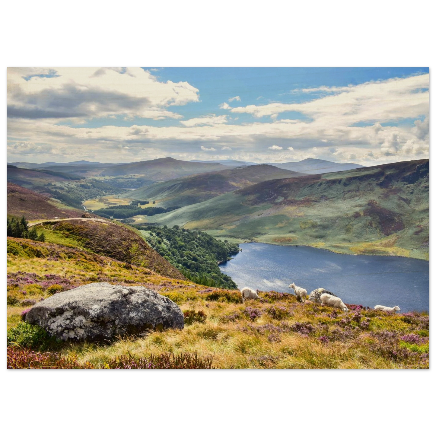 fe7438b5-1001-4bc2-ae81-6759b5144728