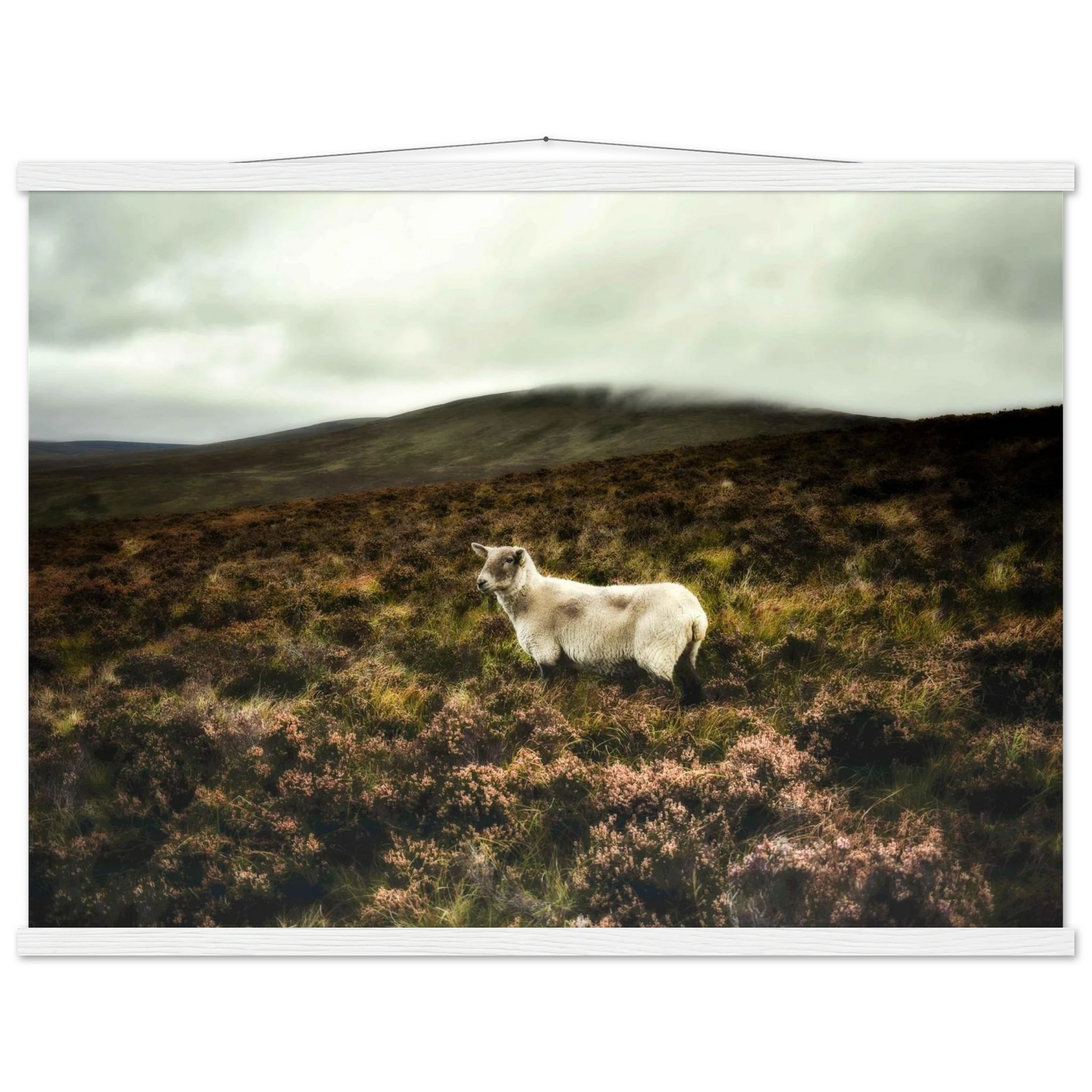 fe7e958d-9d77-4518-9622-495a0b6a7466