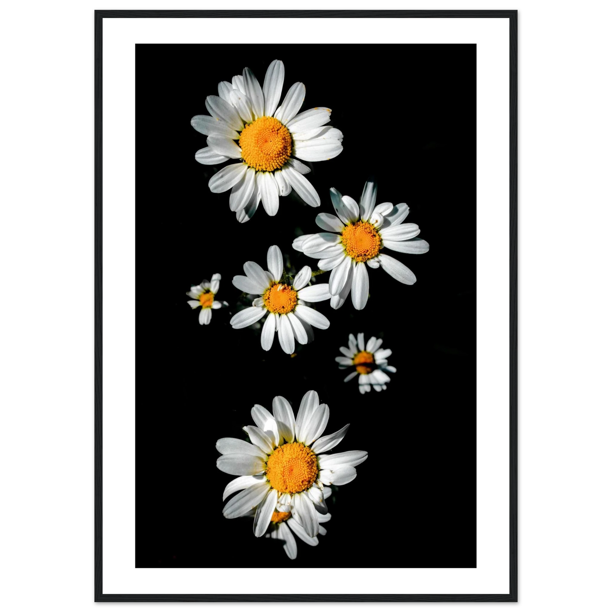 ff050b56-a067-4b61-902c-bd151108c091