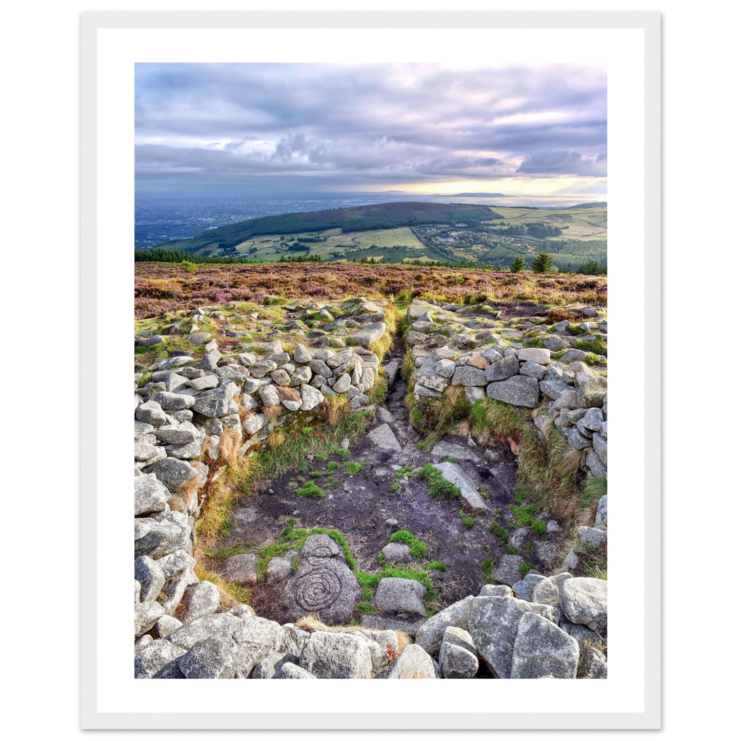 ff1d357c-cba4-4aa3-8f30-a233bd77a987