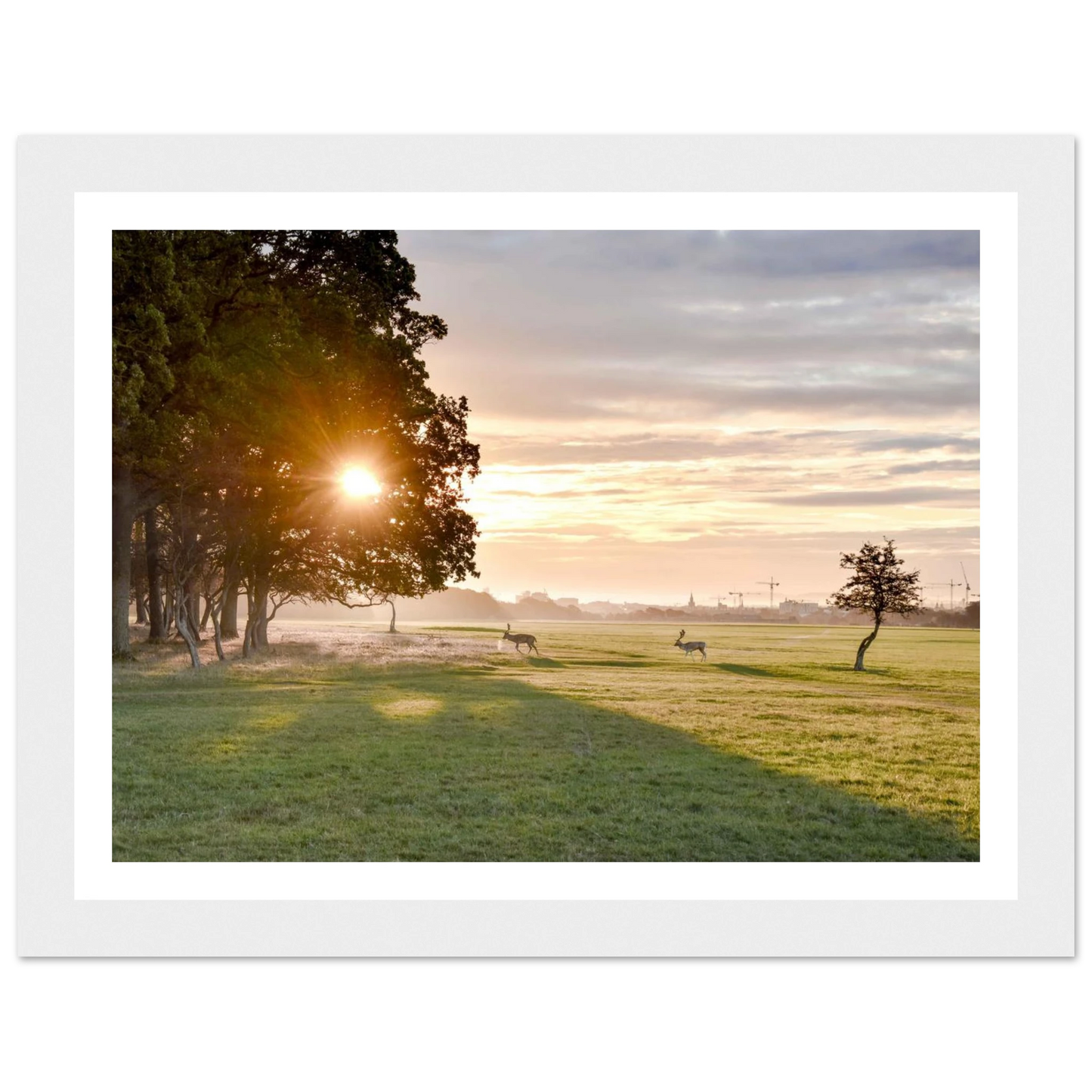 ff6148ca-2900-488e-8500-96cf501e8f09