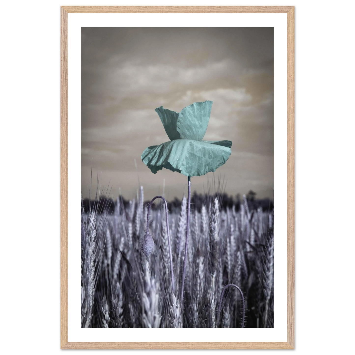 ffa8c5c8-d572-4c50-acf0-f1179786e77e